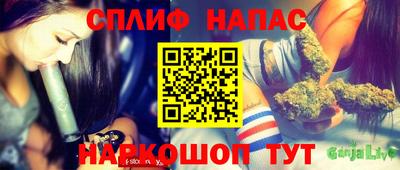 ешки Ставрополь