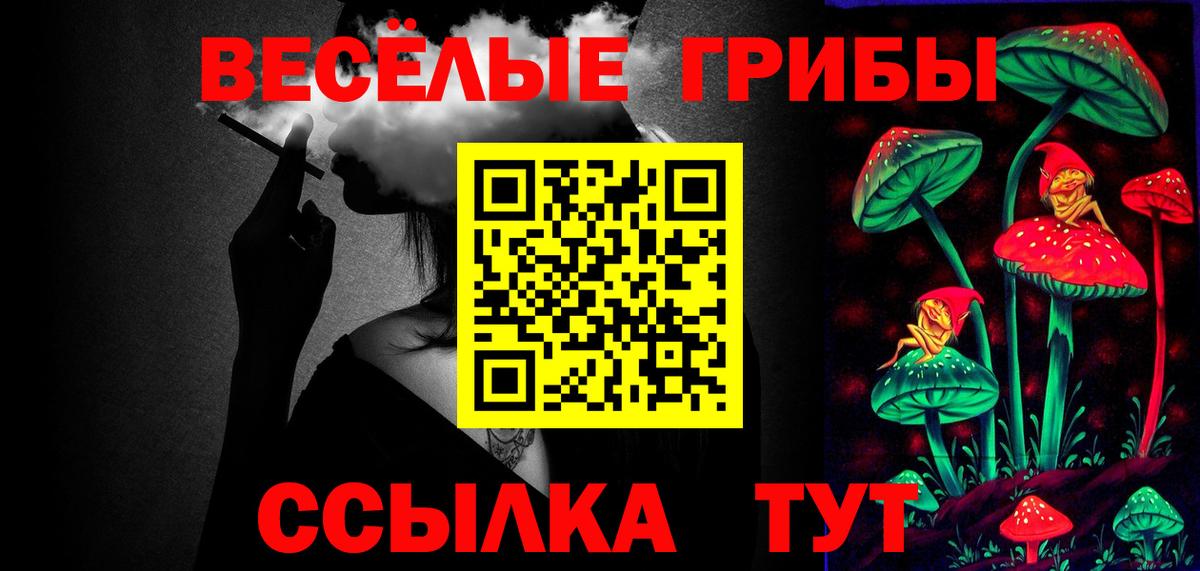 Галлюциногенные грибы Psilocybe Бузулук