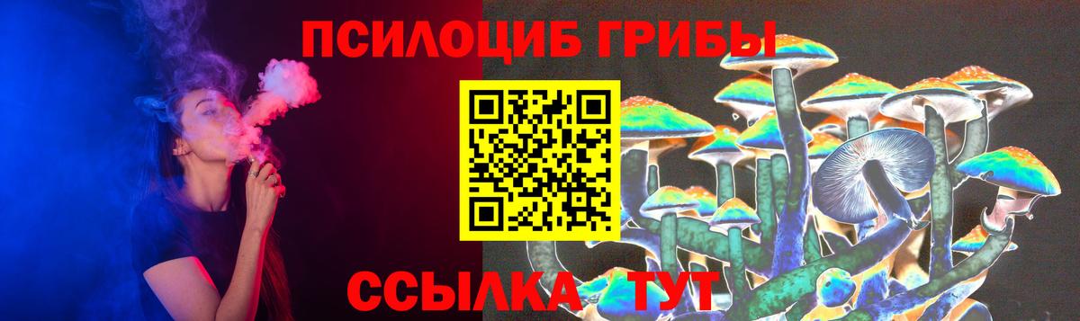 Бузулук  Псилоцибиновые грибы MAGIC MUSHROOMS  Вход с VPN 